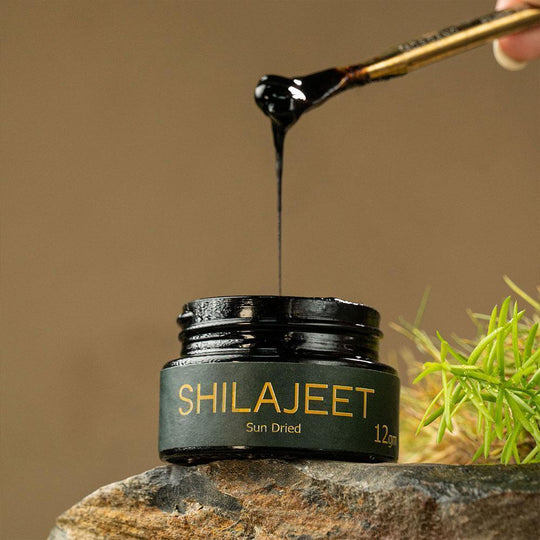 Chitrali  Shilajit 100g | 100%  Pure
