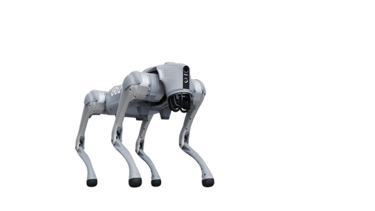 Unitree Go2 Air Quadruped Robot – Smart AI Robot Dog